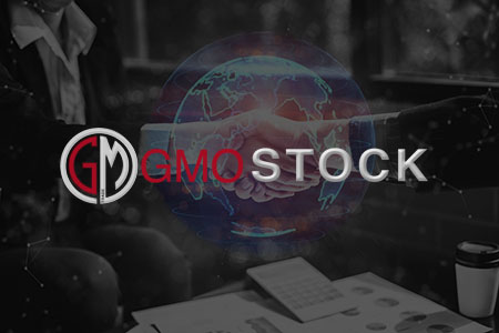 GMO STOCK abbigliamento, sanitari ecc